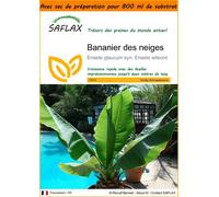 SAFLAX Garden in the bag - Bananier des neiges - 10 graines - Ensete