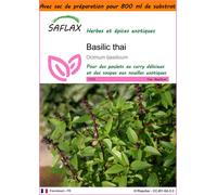 SAFLAX Garden in the bag - Basilic thai - 200 graines - Ocimum