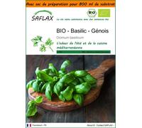 SAFLAX Garden in the bag - BIO - Basilic - Génois - 800 graines - Ocimum