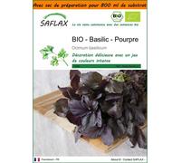 SAFLAX Garden in the bag - BIO - Basilic - Pourpre - 400 graines - Ocimum