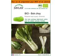 SAFLAX Garden in the bag - BIO - Bok choy - 300 graines - Brassica