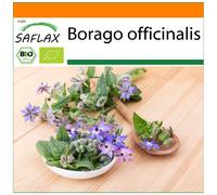 SAFLAX - Garden in the bag - BIO - Bourrache - 40 graines - Avec substrat de culture dans un sac pratique à montage automatique - Borago officinalis