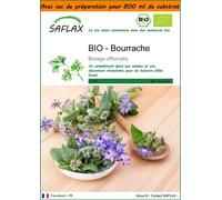 SAFLAX Garden in the bag - BIO - Bourrache - 40 graines - Borago