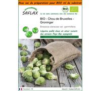 SAFLAX Garden in the bag - BIO - Chou de Bruxelles - Groninger - 30 graines - Brassica