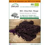SAFLAX Garden in the bag - BIO - Chou frisé - Rouge - 50 graines - Brassica