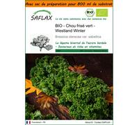SAFLAX Garden in the bag - BIO - Chou frisé vert - Westland Winter - 70 graines - Brassica