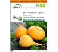 SAFLAX Garden in the bag - BIO - Chou navet - Goldana - 500 graines - Brassica