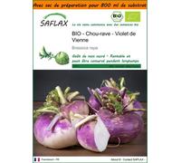 SAFLAX Garden in the bag - BIO - Chou-rave - Violet de Vienne - 600 graines - Brassica