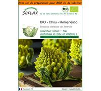 SAFLAX Garden in the bag - BIO - Chou - Romanesco - 50 graines - Brassica