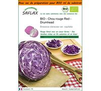 SAFLAX Garden in the bag - BIO - Chou rouge Red - Drumhead - 250 graines - Brassica