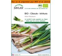 SAFLAX Garden in the bag - BIO - Ciboule - Ishikura - 150 graines - Allium