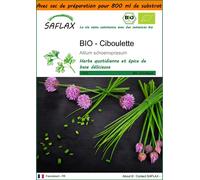 SAFLAX Garden in the bag - BIO - Ciboulette - 250 graines - Allium