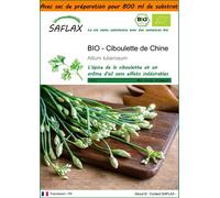 SAFLAX Garden in the bag - BIO - Ciboulette de Chine - 100 graines - Allium