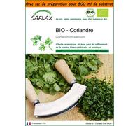 SAFLAX Garden in the bag - BIO - Coriandre - 150 graines - Coriandrum
