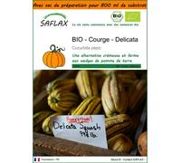SAFLAX Garden in the bag - BIO - Courge - Delicata - 6 graines - Cucurbita
