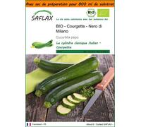 SAFLAX Garden in the bag - BIO - Courgette - Nero di Milano - 6 graines - Cucurbita