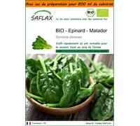 SAFLAX Garden in the bag - BIO - Epinard - Matador - 300 graines - Spinacia