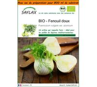 SAFLAX Garden in the bag - BIO - Fenouil doux - 100 graines - Foeniculum