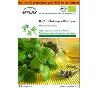SAFLAX Garden in the bag - BIO - Mélisse officinale - 1000 graines - Melissa