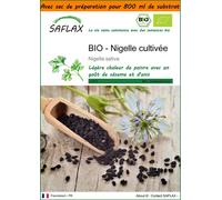 SAFLAX Garden in the bag - BIO - Nigelle cultivée - 300 graines - Nigella