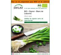 SAFLAX Garden in the bag - BIO - Oignon - Blanc de Lisbonne - 150 graines - Allium