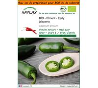SAFLAX Garden in the bag - BIO - Piment - Early jalapeno - 20 graines - Capsicum