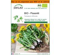 SAFLAX Garden in the bag - BIO - Pissenlit - 400 graines - Taraxacum