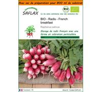 SAFLAX Garden in the bag - BIO - Radis - French breakfast - 150 graines - Raphanus