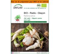 SAFLAX Garden in the bag - BIO - Radis - Glaçon - 100 graines - Raphanus