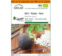 SAFLAX Garden in the bag - BIO - Radis - Noir - 100 graines - Raphanus