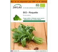 SAFLAX Garden in the bag - BIO - Roquette - 3000 graines - Eruca