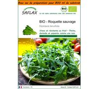 SAFLAX Garden in the bag - BIO - Roquette sauvage - 1500 graines - Diplotaxis
