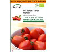 SAFLAX Garden in the bag - BIO - Tomate - Prince Borghese - 10 graines - Solanum