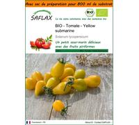 SAFLAX Garden in the bag - BIO - Tomate - Yellow submarine - 10 graines - Solanum