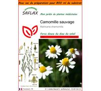 SAFLAX Garden in the bag - Camomille sauvage - 300 graines - Matricaria