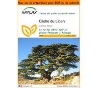 SAFLAX Garden in the bag - Cèdre du Liban - 20 graines - Cedrus
