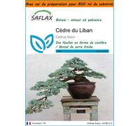 SAFLAX Garden in the bag - Cèdre du Liban - 20 graines - Cedrus