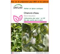 SAFLAX Garden in the bag - Chanvre d'eau - 100 graines - Stevia