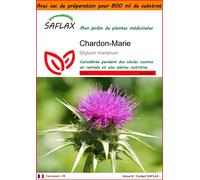 SAFLAX Garden in the bag - Chardon-Marie - 75 graines - Silybum