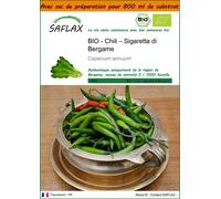 SAFLAX Garden in the bag - Chili – Sigaretta di Bergame - 10 graines - Capsicum
