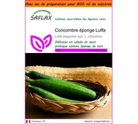 SAFLAX Garden in the bag - Concombre éponge Luffa - 10 graines - Luffa