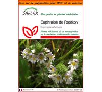 SAFLAX Garden in the bag - Euphraise de Rostkov - 200 graines - Euphrasia