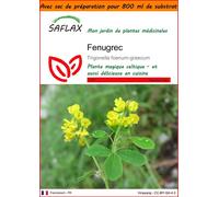 SAFLAX Garden in the bag - Fenugrec - 100 graines - Trigonella