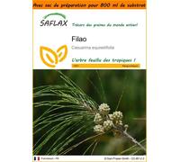 SAFLAX Garden in the bag - Filao - 200 graines - Casuarina