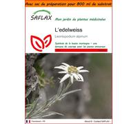 SAFLAX Garden in the bag - L’edelweiss - 500 graines - Leontopodium