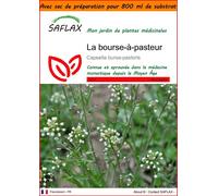 SAFLAX Garden in the bag - La bourse-à-pasteur - 1000 graines - Capsella