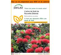 SAFLAX Garden in the bag - L'arbre de Noël de Nouvelle-Zélande - 300 graines - Metrosideros