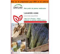 SAFLAX Garden in the bag - Lavande vraie - 150 graines - Lavandula
