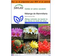 SAFLAX Garden in the bag - Mélange de Mammillaria - 40 graines - Mammilaria