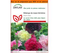 SAFLAX Garden in the bag - Mélange de roses trémières - 100 graines - Alcea
